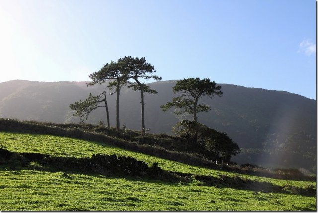 acores_0139.jpg