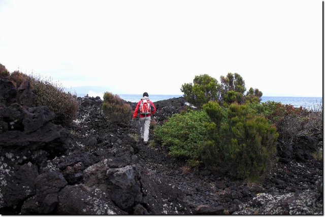 acores_0191.jpg