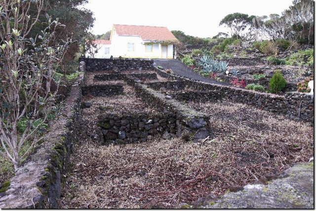 acores_0193.jpg