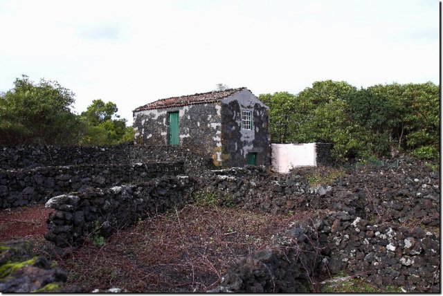 acores_0197.jpg