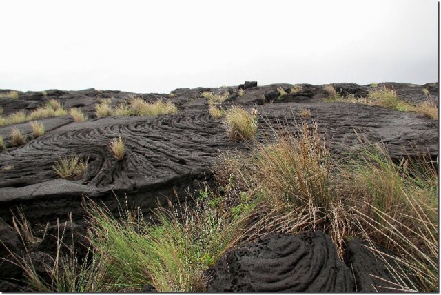acores_0250.jpg