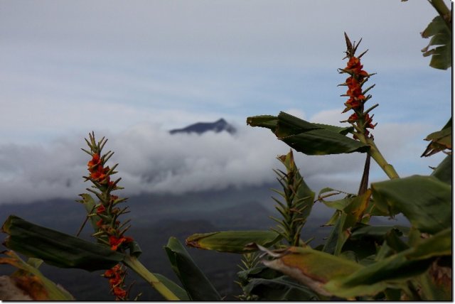 acores_0267.jpg