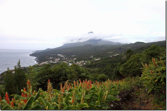 acores_0270.jpg