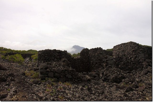 acores_0281.jpg