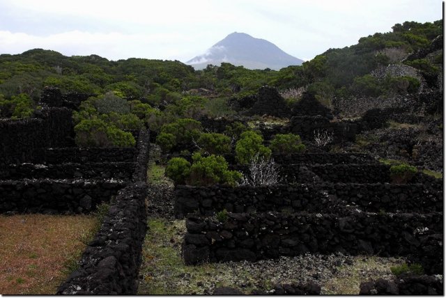 acores_0292.jpg