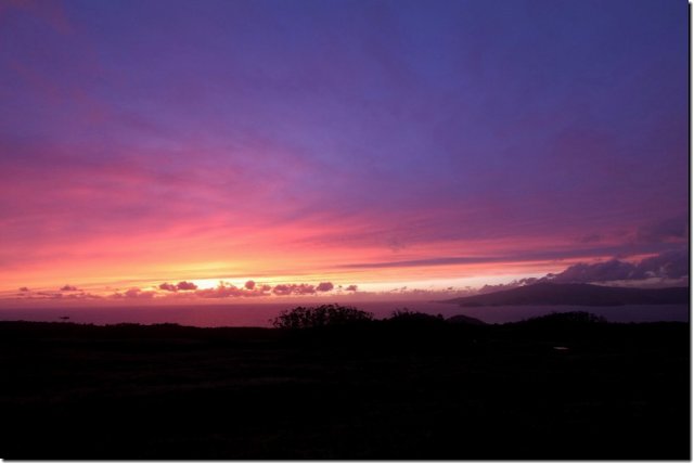 acores_0315.jpg