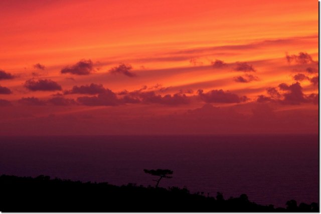 acores_0317.jpg