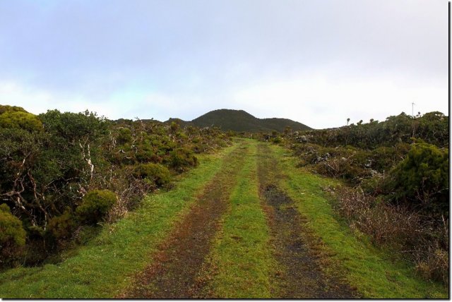 acores_0334.jpg