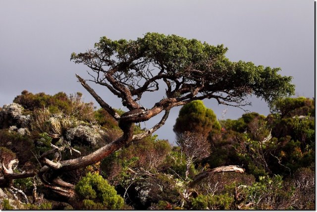 acores_0348.jpg