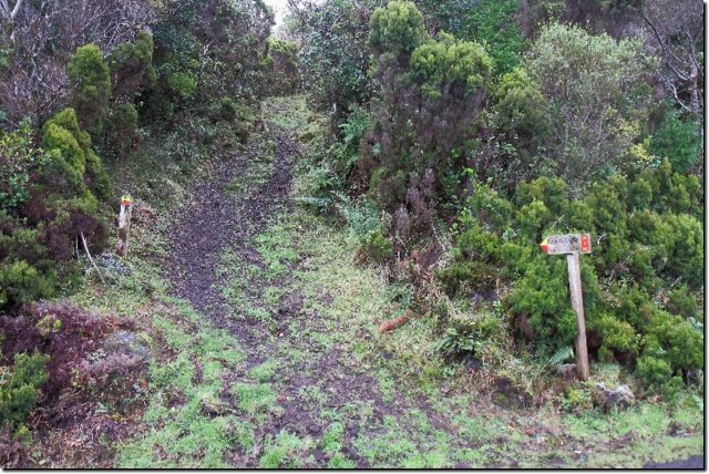 acores_0350.jpg