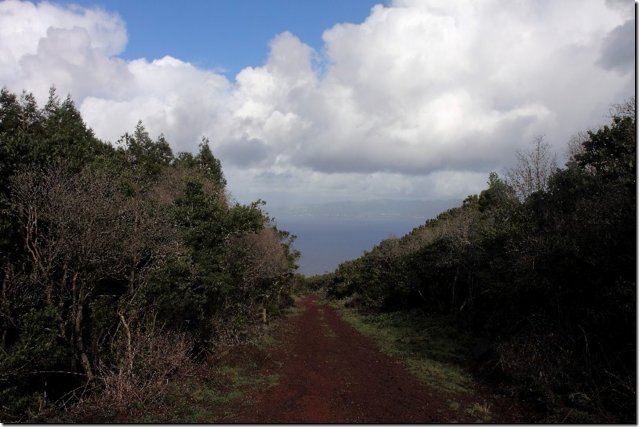 acores_0353.jpg
