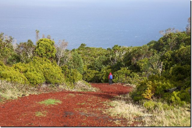 acores_0354.jpg