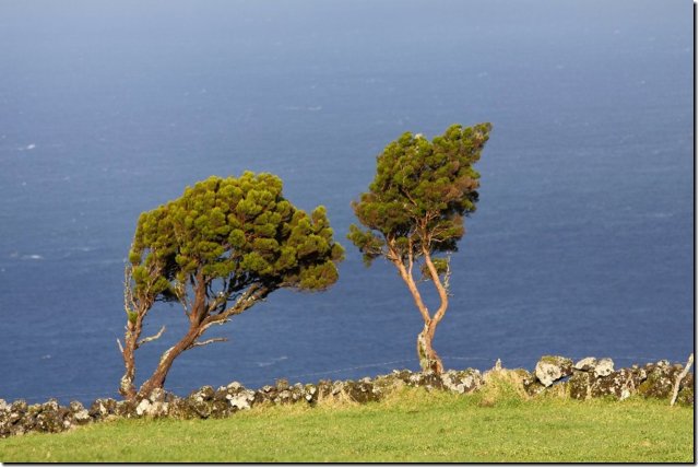 acores_0644.jpg