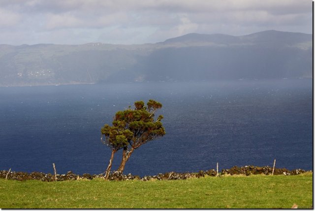 acores_0645.jpg