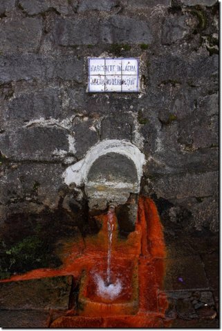 acores_0781.jpg