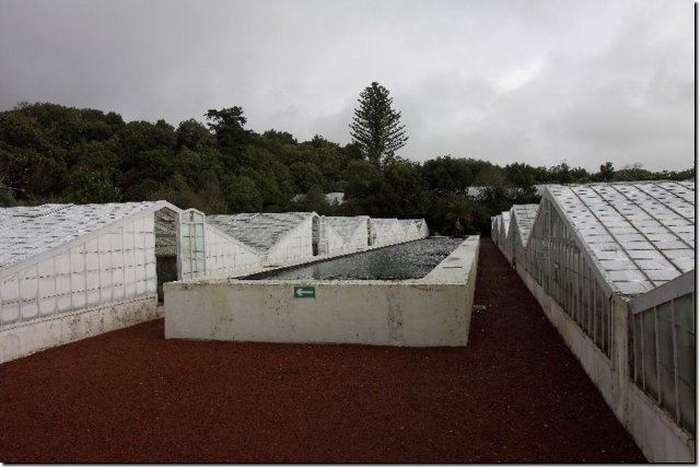 acores_0830.jpg