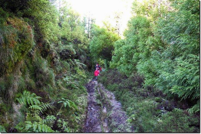acores_0930.jpg