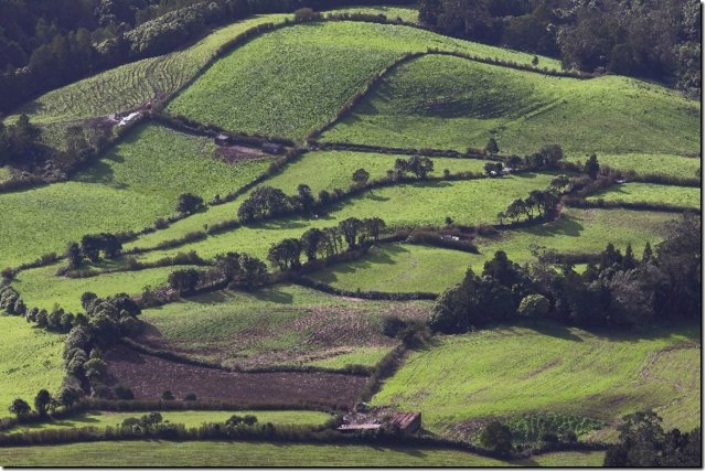 acores_0991.jpg