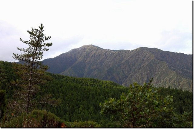 acores_1003.jpg