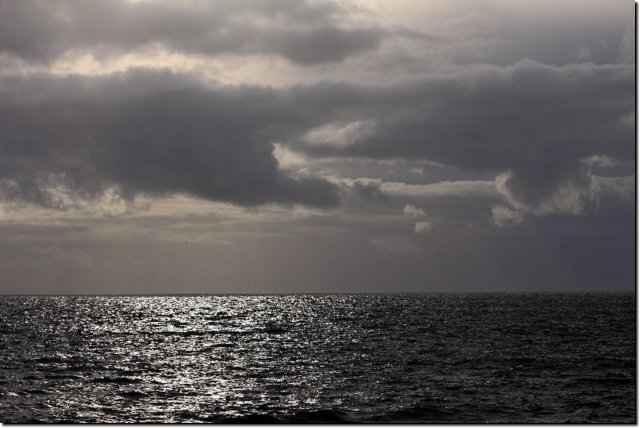 acores_1015.jpg