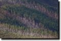 acores_1000.jpg