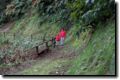 acores_1019.jpg