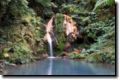 acores_1075.jpg