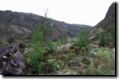 acores_1084.jpg