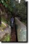acores_1087.jpg