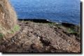 acores_1123.jpg