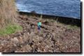 acores_1126.jpg