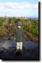 acores_0133.jpg