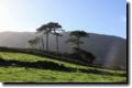 acores_0139.jpg