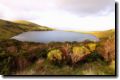 acores_0156.jpg