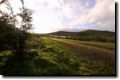 acores_0159.jpg