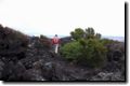 acores_0191.jpg