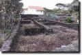 acores_0193.jpg