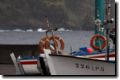 acores_0208.jpg