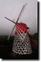 acores_0235.jpg