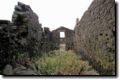 acores_0248.jpg