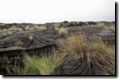 acores_0250.jpg