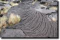 acores_0251.jpg