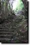 acores_0261.jpg