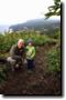 acores_0266.jpg