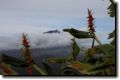 acores_0267.jpg