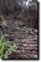acores_0275.jpg