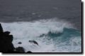 acores_0285.jpg