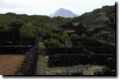 acores_0292.jpg