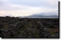 acores_0295.jpg