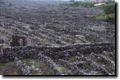 acores_0297.jpg